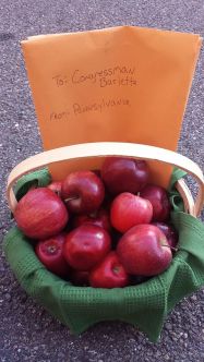 Hazleton Apples